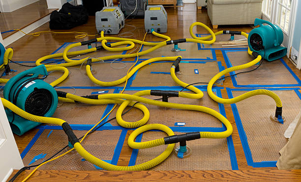 Professional Storm Water Damage Restoration technician working in Malden Bridge, NY